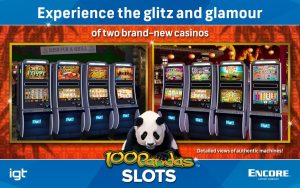 100 Pandas AVP Slots